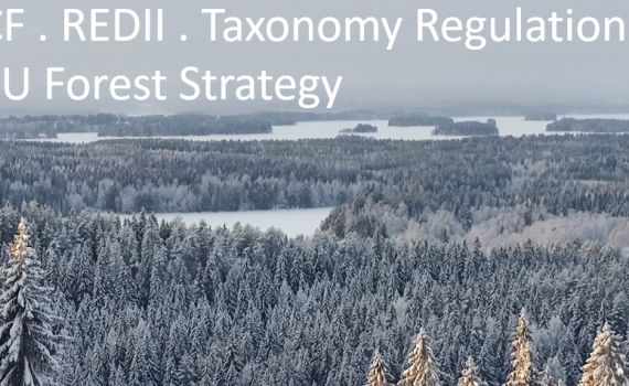 LULUCF-REDII-Taxonomy-New_FS image