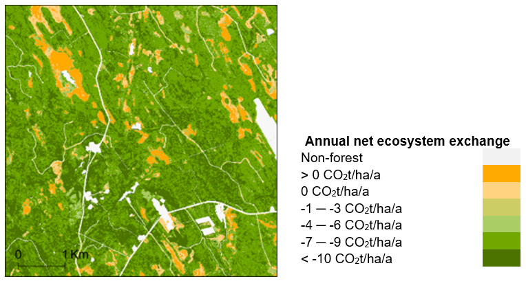 Forest Flux result example