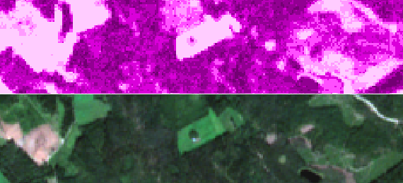 Basal Area estimation in Finland