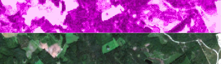Basal Area estimation in Finland