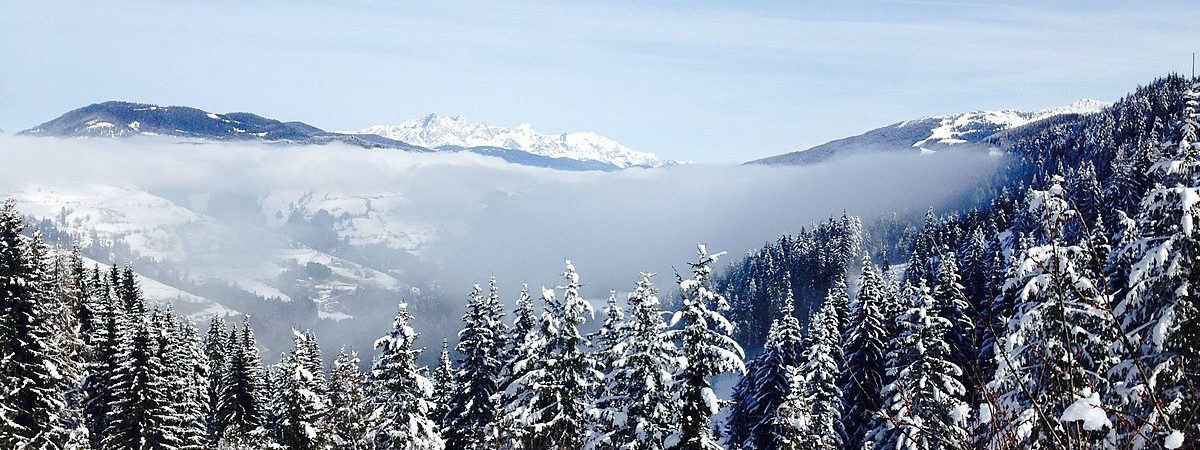 Snow covered forest in Austria