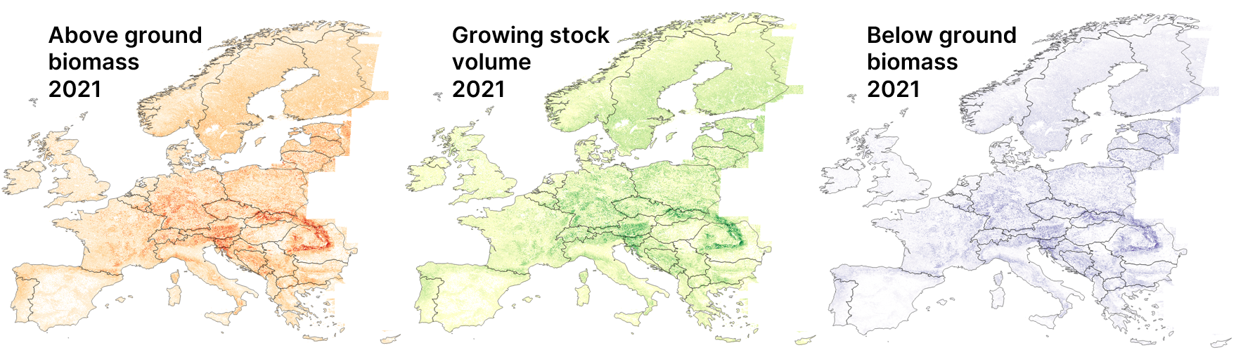Biomass maps of Europe