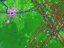 Sentinel-2 and GEDI over Colombia demo area