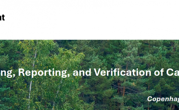 EO for Carbon Markets banner