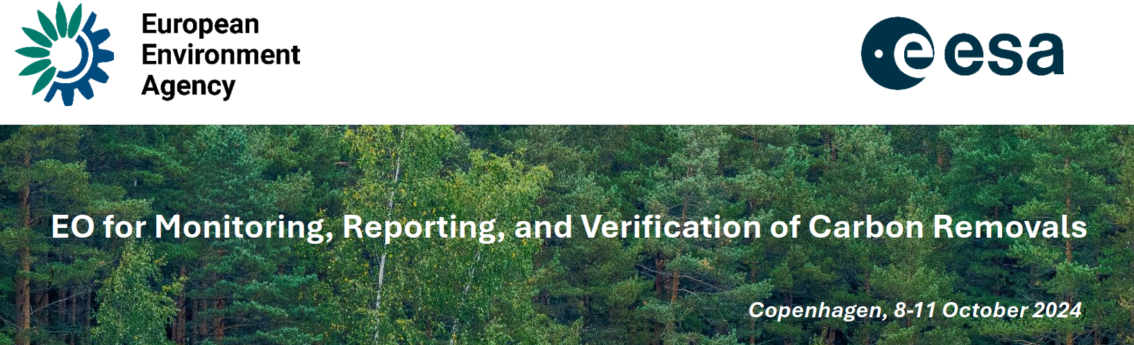 EO for Carbon Markets banner