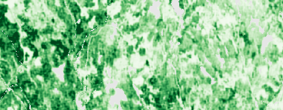 Example of volume map.