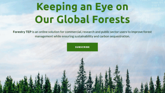 Forestry TEP banner