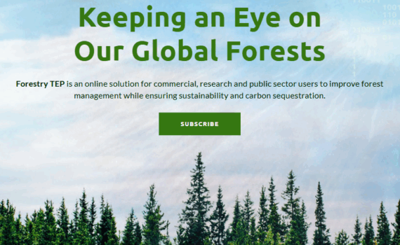 Forestry TEP banner