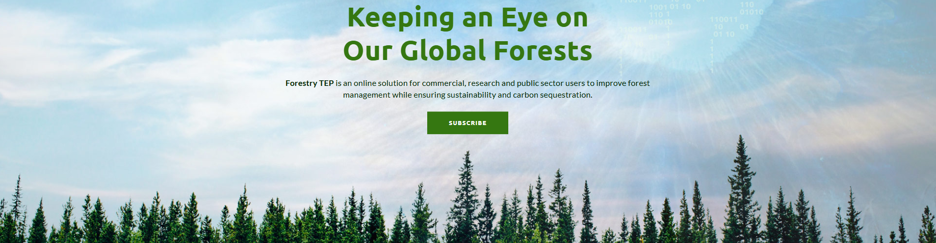 Forestry TEP banner