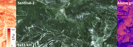 FCM products examples