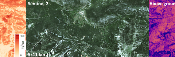 FCM products examples