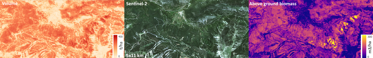 FCM products examples