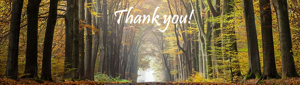 Photo with "Thank You!" written on it.